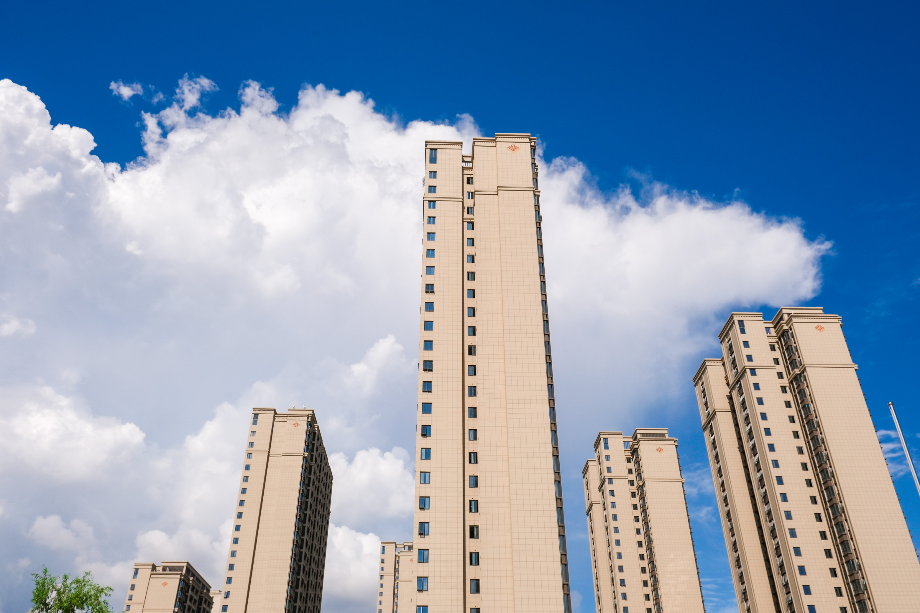 台风过境，，，这一大波民生项目be like（图说包管房）